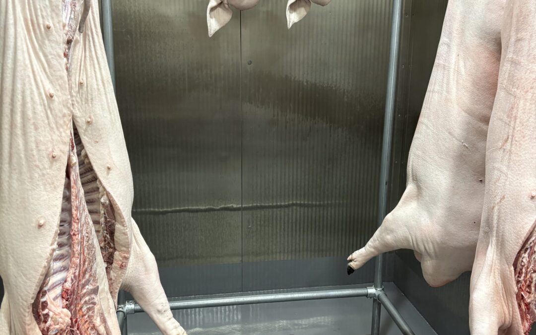 Two in the chiller